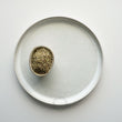 Load image into Gallery viewer, Todd's Oregano Leaf (0.3 oz)
