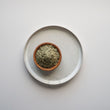 Load image into Gallery viewer, Todd's Rosemary Leaf (7 oz)
